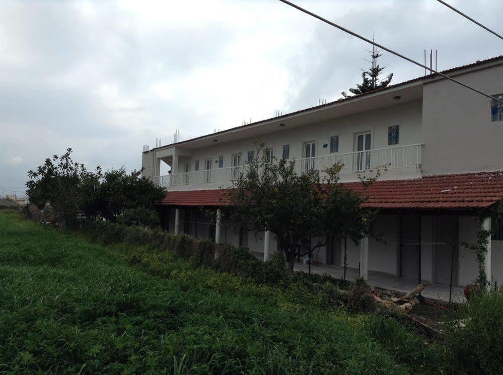 Dias Hotel Apartments Agia Marina Zewnętrze zdjęcie